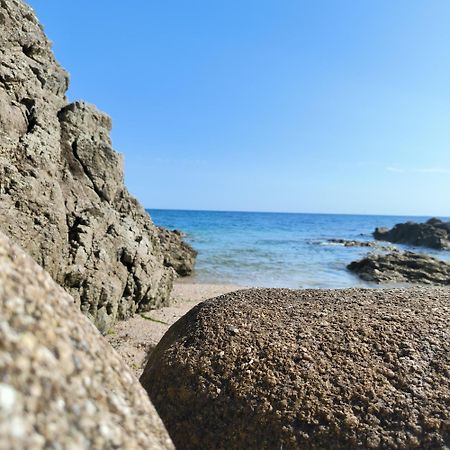 La Suite Appartement Pleine Vue Mer Concarneau Luaran gambar